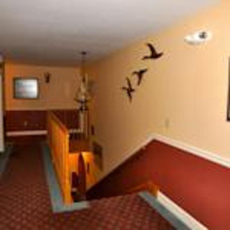 Soldotna B & B Lodge Extérieur photo